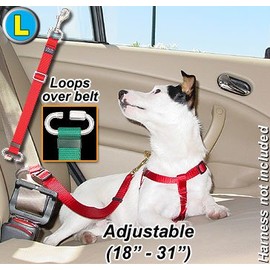 Seat Belt Tethers - Large - Stainless Steel Parts - Car Tether (Red)