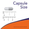 Inositol 500 100 Cápsulas Paquete