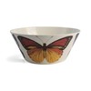 Metamorphosis Serving Bowl