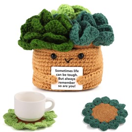lasuroa Positive Flower Pot, Crochet Flower, Positive Succulents, Crochet Pot, Positive Plants with 6 Crochet Coasters for Party Decoration, Encouraging Gift