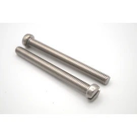 Cylinder Screws with Slotted Slotted Screws DIN 84 Made of A2 Stainless Steel Rustproof Machine Screw with Full Thread ISO 1207