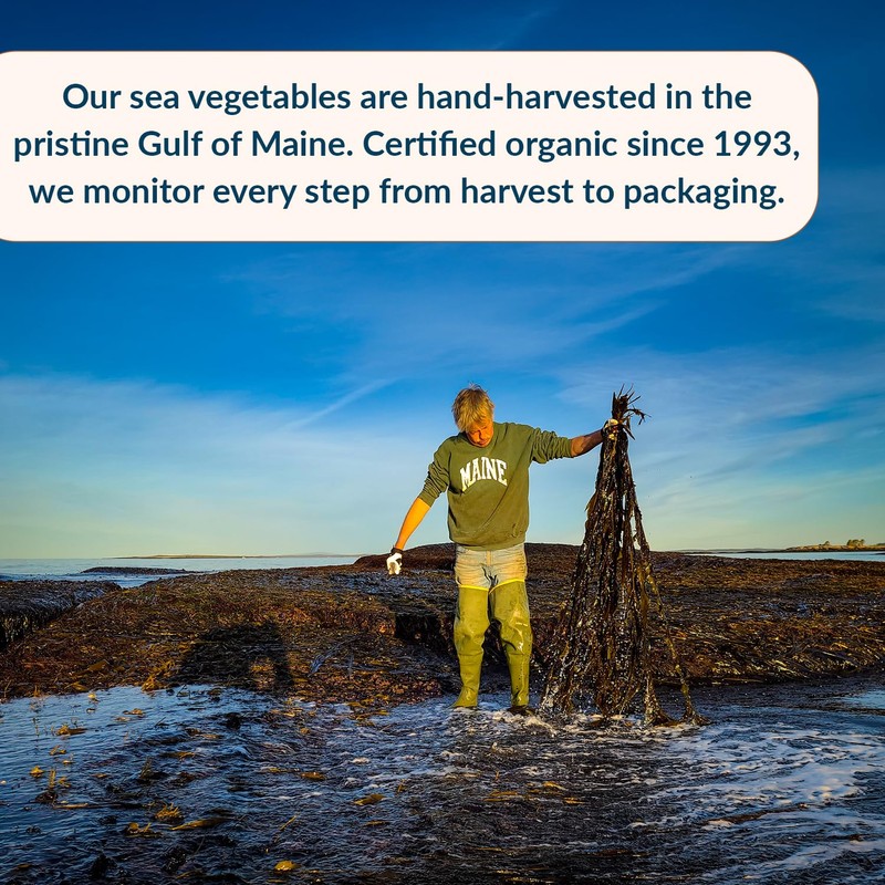 Maine Coast Sea Vegetables Laver Whole Leaf | Organic Dried
