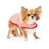 FuzzYard Hey There Sweetie Dog Wrap Vest (3)