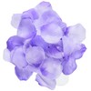 Darice RC-7209-51 Decorative Satin Loose Rose Petals, Purple, 100-Pack