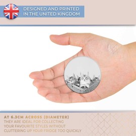 Destination Vinyl ltd Magnet for Refrigerator, Fridge BW - Cute Maine Coon Kittens Cats for Office, Cabinet and Whiteboard, Magnetic Stickers, 36970