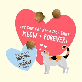 Purina Friskies Natural Cat Treats Party Mix with Tuna 20 oz. Canister