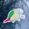 Handmade Green Cheek Conure CAR Stickers (cinnamon ) Outdoor use