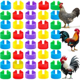 RONDURE Chicken Leg Bands Poultry Tags for Legs DIY Numbered Chicken Ankle Bands for Easy Identification - 100PCS 5 Colors