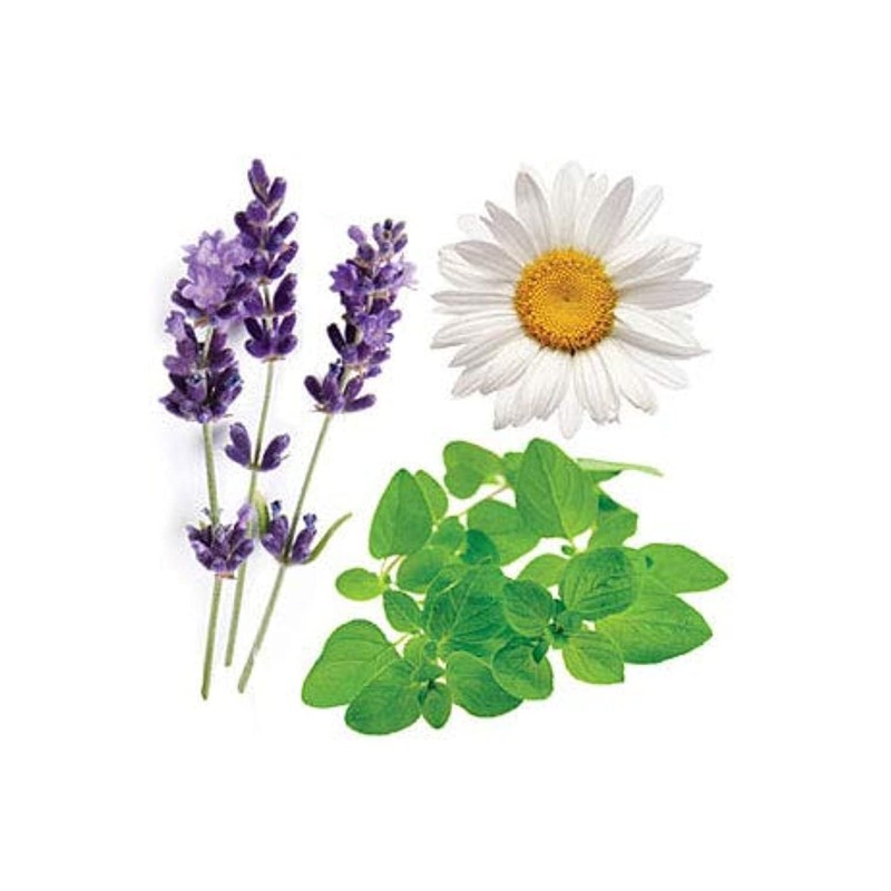 doTERRA Serenity Essential Oil Restful Blend - 15 ml