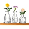 FANTESTICRYAN Glass Bud Vases Set of 3, Clear Vase 1.9"L