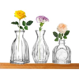 FANTESTICRYAN Glass Bud Vases Set of 3, Clear Vase 1.9"L x 1.9"W x 4.3"H