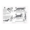 Ident-I-Cards PAK-IT Guide to Field Dressing a Deer