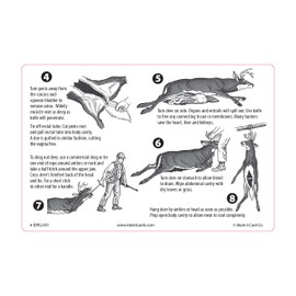 Ident-I-Cards PAK-IT Guide to Field Dressing a Deer