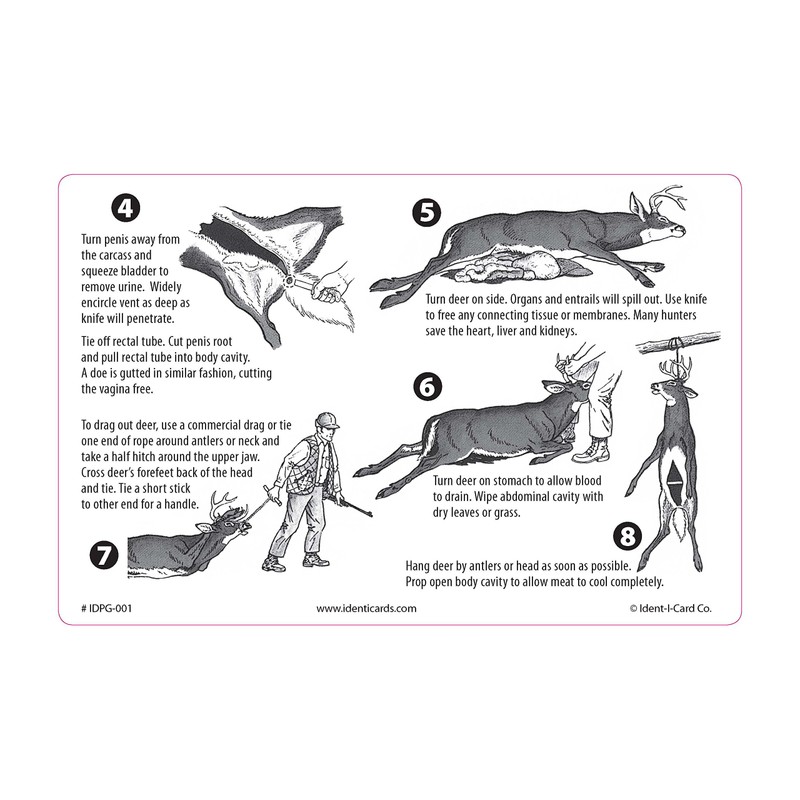 Ident-I-Cards PAK-IT Guide to Field Dressing a Deer
