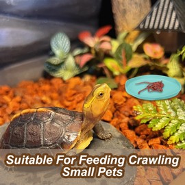 2 Pcs Macaron Color Reptile Feeding Bowls, Durable Gecko Food and Water Bowl, Suitable Reptile Accessories for Tortoise, Bearded Dragon, Hedgehog, Water and Food Feeding Dishes for Small Pets