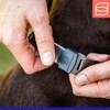 Herm. Sprenger NeckTech Fun Dog Training Collar with Quick Release