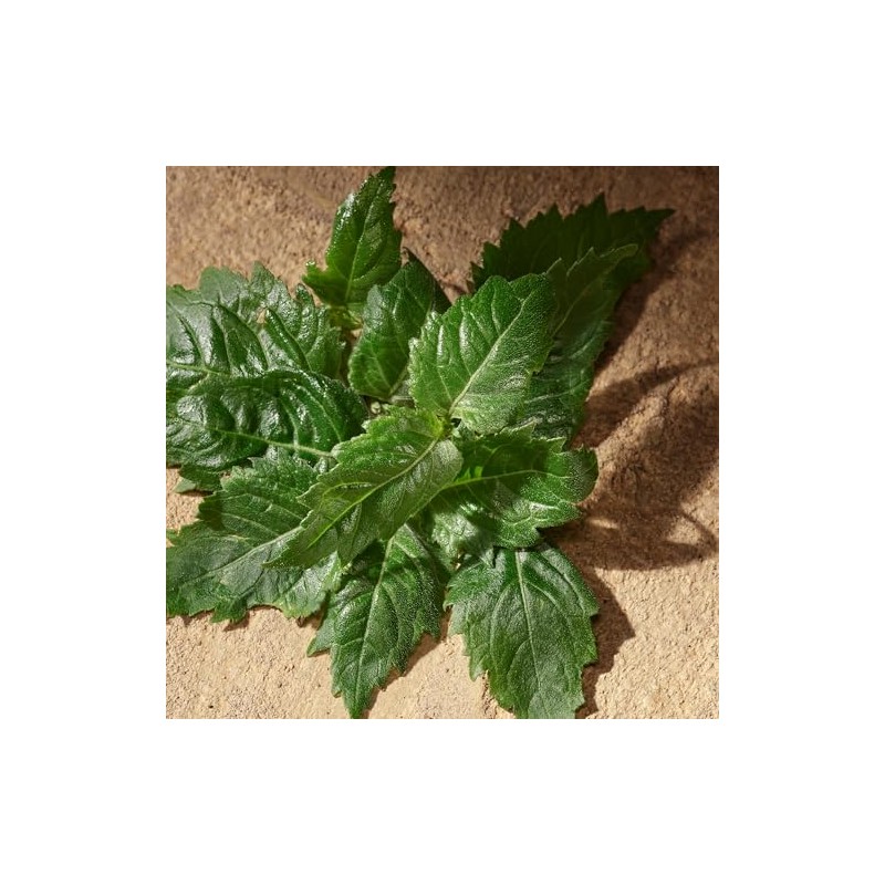 Dolce&Gabbana Devotion, Eau De Parfum, For Men, 100ml / 3.3