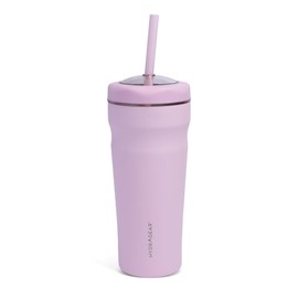 Hydragear Breaker Stainless Steel Tumbler with Tritan Lid and Reusable Straw - 24 Oz - Pink Salt