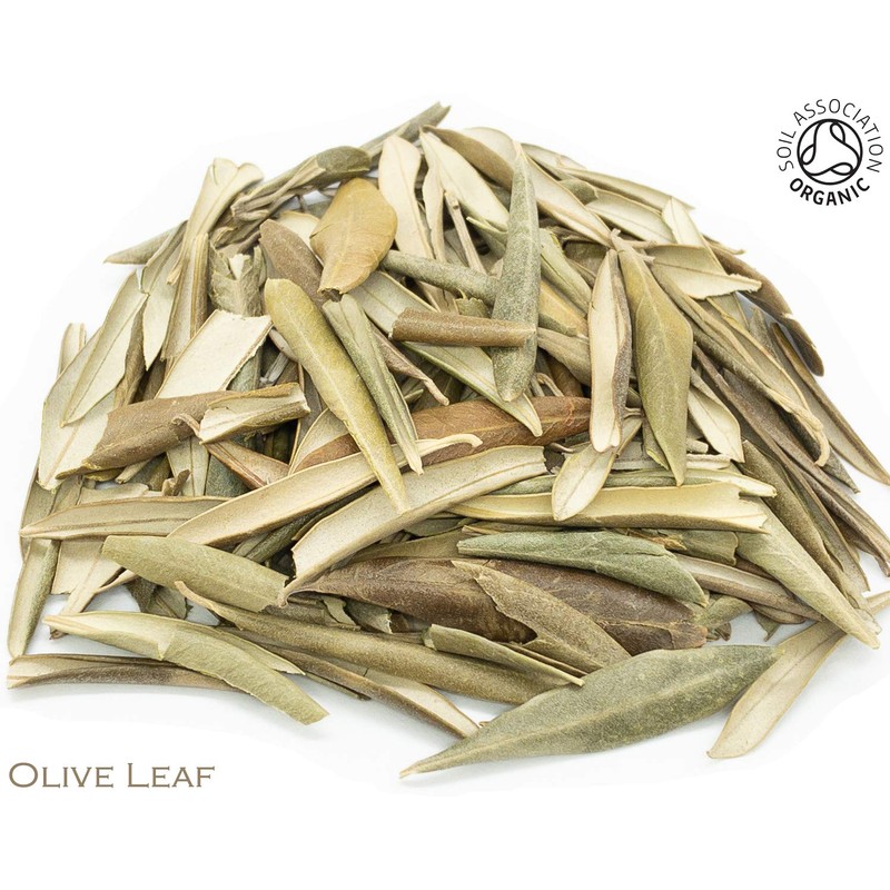 Organic Olive Leaf Pure Herbal Infusion (25 Unbleached Tea Bags