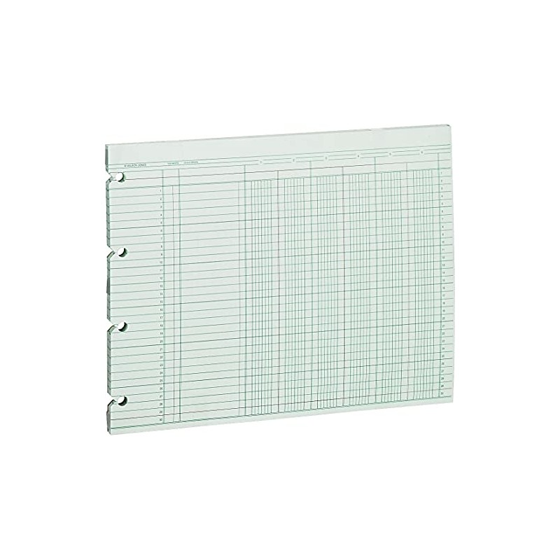 Accounting Sheets, Six Column, 9-1/4 x 11-7/8, 100 Loose Sheets/Pack,