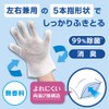 StyleMate Carpet Clear Stain Removal Wet Gloves