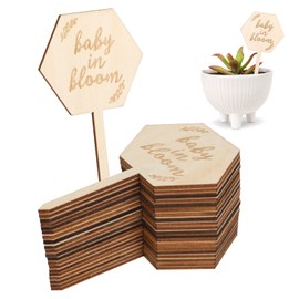 20pcs Baby in Bloom Decorations Baby in Bloom Sign Hexagon Plant Stakes Labels Gift for Baby Shower Party Garden Stakes Succulent Plant Markers