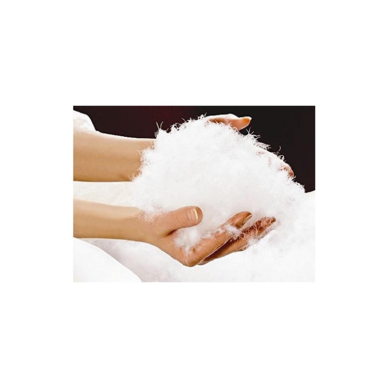 betten-traum-land 100% Canadian Goose Down Pillow Soft with 400 g