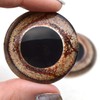 Bearded Dragon Glass Eyes for Art Dolls, Sculptures, Props, Masks,