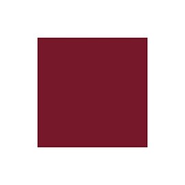 Stargazer Non Permanent Tattoo Pen