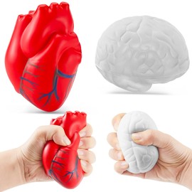 Anatomy Stress Toy Set 2 Pieces Heart Stress Balls with Squishy Brain PU Foam Stress Ball Fake Healthcare Anatomy Stress Ball for Relief Stress