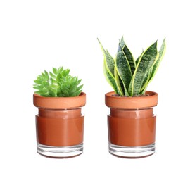 vensovo 4 Inch Self Watering Pots for Indoor Plants - Terracotta Self Watering Planters for Indoor Plants, Terra Cotta Plant Pots with Cylinder Glass Cup, Set of 2