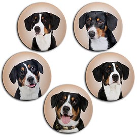 Merchandise for Fans 01 Entlebucher Mountain Dog Portrait 5 Round Fridge Magnets Diameter 6 cm for Memo Board Pin Board Magnetic Board Whiteboard
