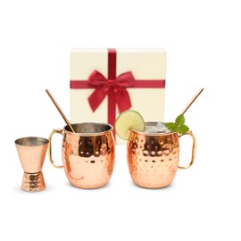 Kitchen Science [Gift Set] Moscow Mule Mugs, Stainless Steel Lined Copper Moscow Mule Cups Set of 2 (19 OZ) w/ 2 Straws & 1 Jigger | Tarnish-Resistant Stainless Steel Interior