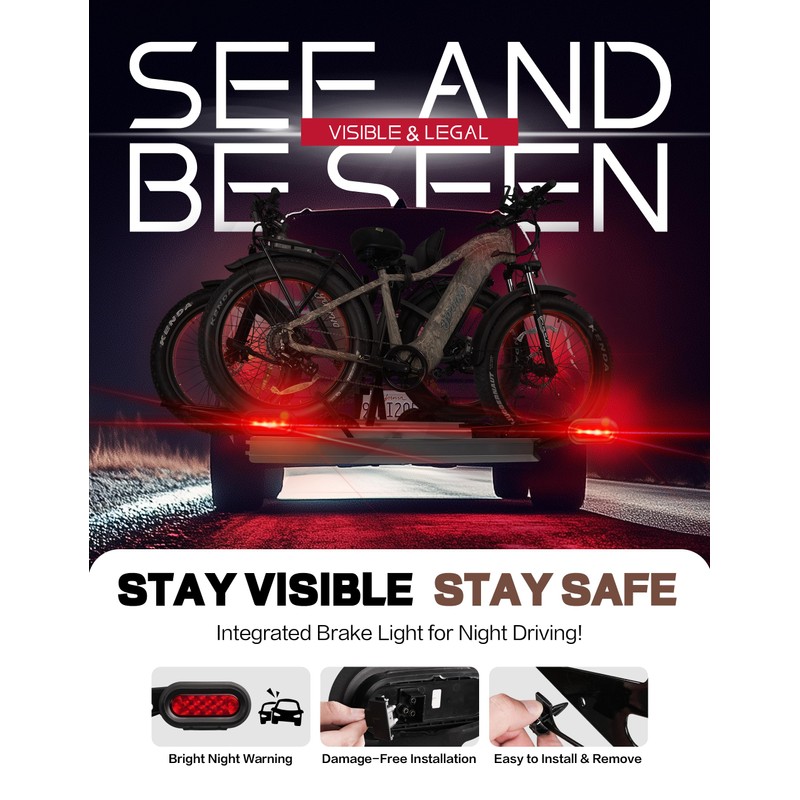 Young Bike Rack Brake Light & Plate Kit, 6 Inch