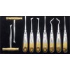 Dental Extraction Elevators Set of 9 Dental Forceps Instruments Kit