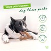 Benebone Wishbone Durable Dog Chew Toy for Aggressive Chewers –