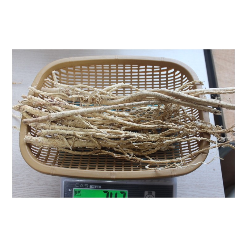 100g Pihwanggi, white-boiled ingredients, Gyeongbuk Yeongju Sliced ​​Pihwanggi 100g /