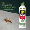 Raid Essentials Ant, Spider & Roach Killer Aerosol Spray, Child