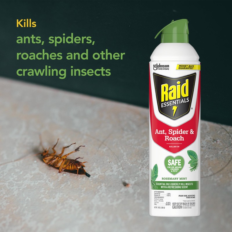 Raid Essentials Ant, Spider & Roach Killer Aerosol Spray, Child