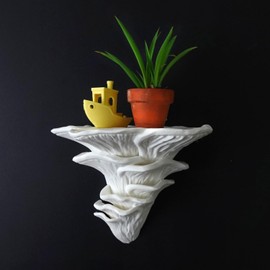 Mushroom Wall Shelf Flamingo Sideling Roses Leaf Mushroom Fungus Shelf Flamingo Side Decorative Mushroom Shelf Exotic Design Home Accessory 3D Print Wall Mushroom Wall Shelf (Purple/Black, L 18 x 14 x
