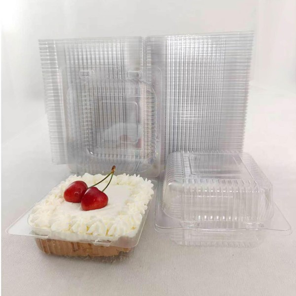 Lifuope Lifuope 100 pc clear Plastic Cake Slice Container, Clamshell