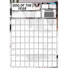 Totally Bonkers - Dog Fundraising Scratch Cards - 80 Square - A4 (297x210mm) - 5 Pack - TB0075 - Blind Card…