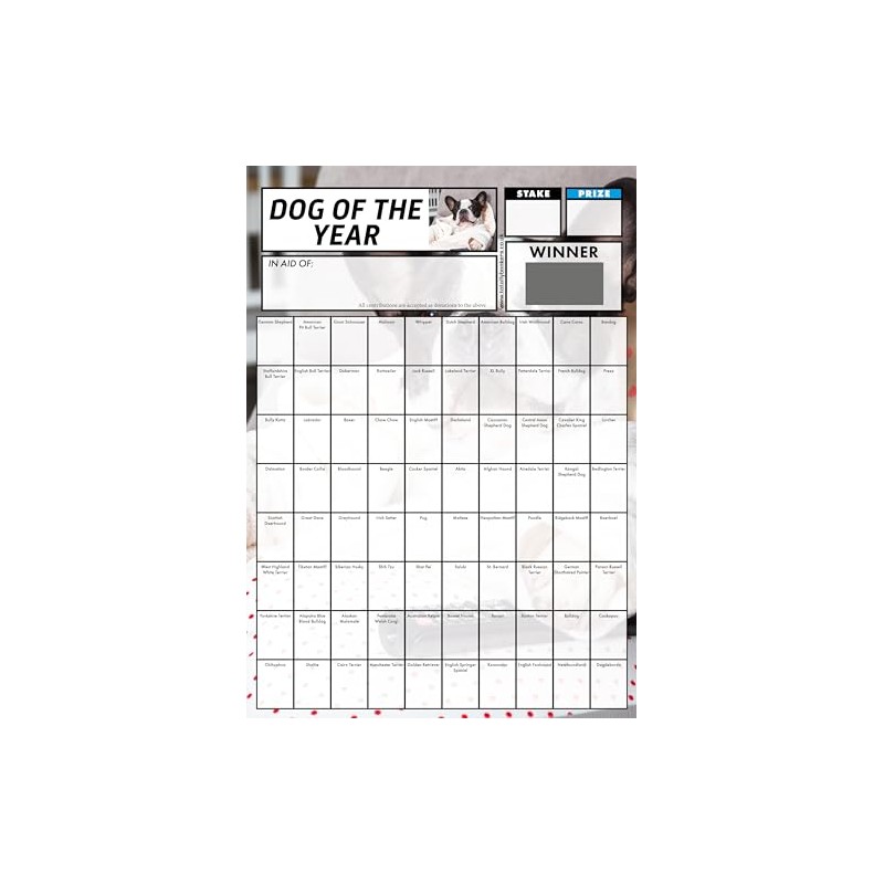 Totally Bonkers - Dog Fundraising Scratch Cards - 80 Square