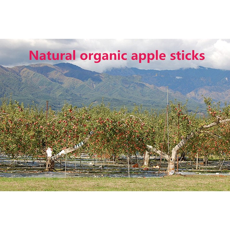 sharllen 200g (7.05oz) Natural Apple Sticks Wood Tree Branches Pet