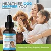 BUDDY'S BEST Natural Dewormer For Dogs & Cats | Intestinal
