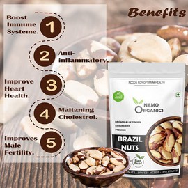 Indian Natural Grocery Nam Organics - Handpicked Brazil Nuts - 500 Gm - Selenium Rich Dry Fruit Sourced From Organic Brazil Nuts Producers