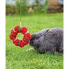 Rosewood Christmas Wreath Toy for Small Animals, 8cm diameter
