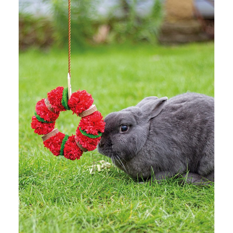 Rosewood Christmas Wreath Toy for Small Animals, 8cm diameter