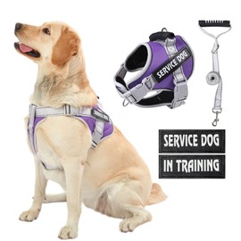 HUSDOW Service Dog Vest Harness, No Pull in Trainning Dog Harnesses with Handle & 5ft Dog Leash, Adjustable and Reflective No Chock for Small Medum Large Pets Walking and Running(Purple, S)