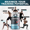 Creatine Monohydrate Gummies | 4000mg Daily Serving Creatine Gummies in